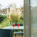 Le Jardin De Babylone Festive & Naturiste 